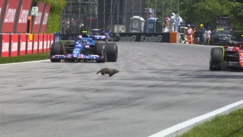 Formula 1, Καναδάς: Ο μεγαλύτερος πονοκέφαλος των οδηγών είναι οι… μαρμότες (vid)