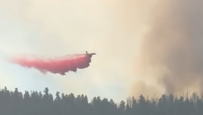  Μεγάλη πυρκαγιά απειλεί τις γιγαντιαίες σεκόγιες στο πάρκο Γιοσέμιτι στην Καλιφόρνια (vid)
