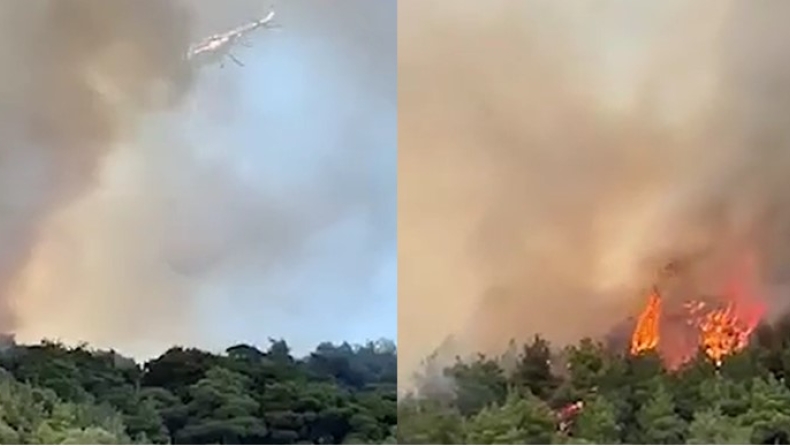 Φωτιά στο Σουφλί Έβρου: Πολύ δύσκολη η κατάσταση στο δάσος Δαδιάς, κατευθύνεται προς Λευκίμη (vid)