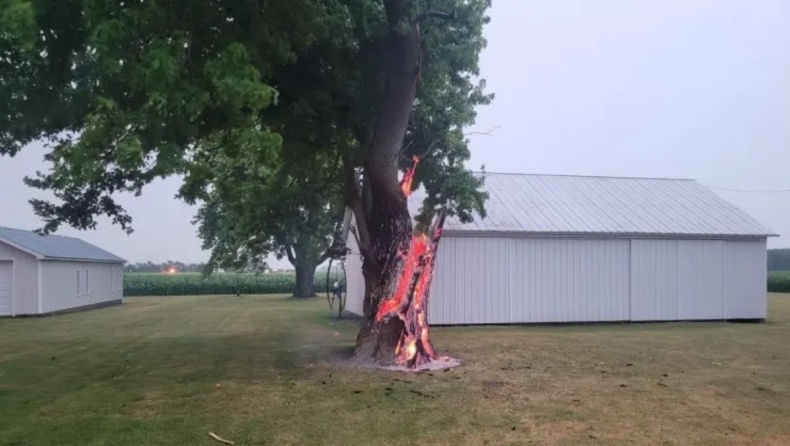 Απίστευτο τι μπορεί να προκαλέσει ο κεραυνός: Δέντρο στο Οχάιο καίγεται από μέσα προς τα έξω 