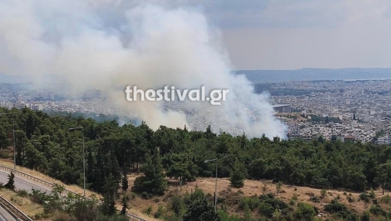 Φωτιά στο Σέιχ Σου: Μεγάλη κινητοποίηση της Πυροσβεστικής (vid)