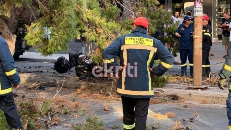 Δέντρο έπεσε σε κεντρικό δρόμο του Ηρακλείου: Νεκρός ένας άνδρας (vid)