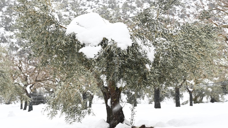 Νέα προειδοποίηση από την ΕΜΥ: Καταιγίδες και χιόνια μέχρι και την Τρίτη