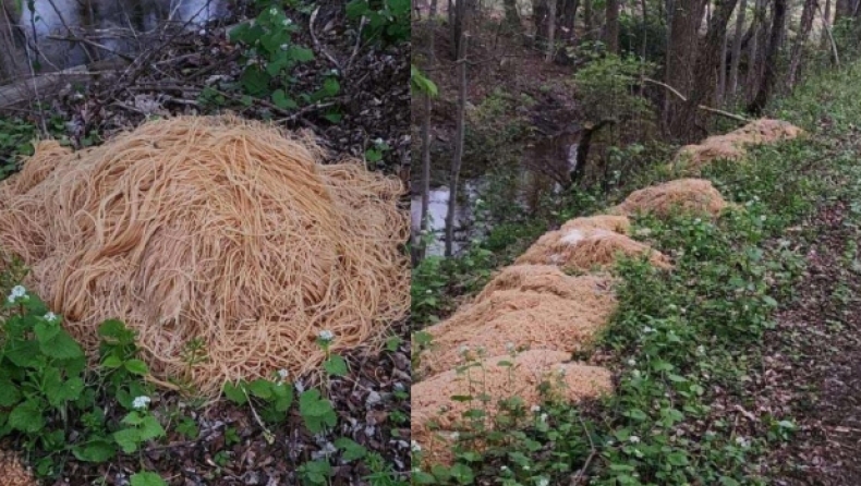 500 κιλά μακαρόνια βρέθηκαν πεταμένα σε πάρκο στις ΗΠΑ