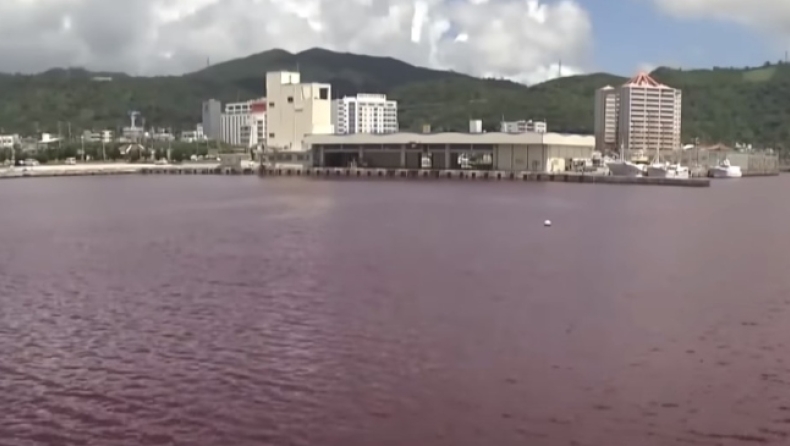 Ιαπωνία: Γιατί έγινε κόκκινη η θάλασσα (vid)