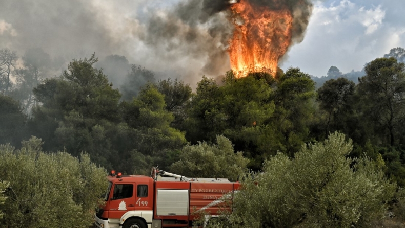 Φωτιά τώρα στη Ρόδο: Εκκενώθηκε προληπτικά ξενοδοχείο