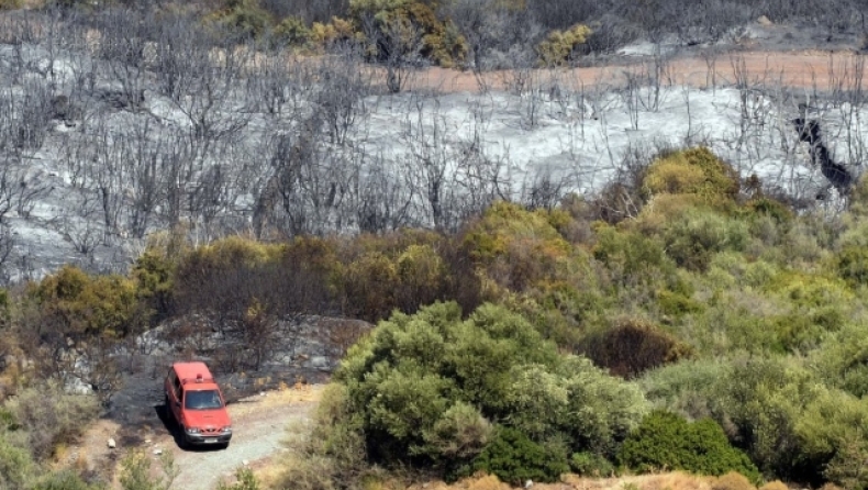 Σοκαριστική δήλωση του εμπρηστή στη Μεσσηνία: «Με εξίταρε η κινητικότητα της πυροσβεστική» (vid)