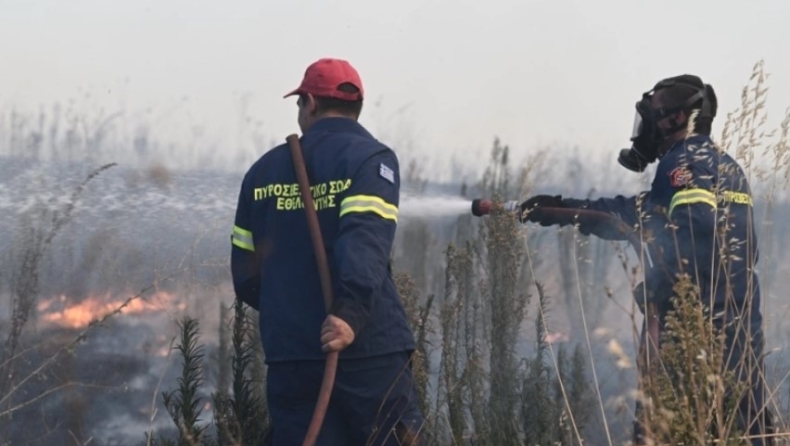 Φωτιά στη Μεσσηνία: Επιχειρούν και εναέριες δυνάμεις