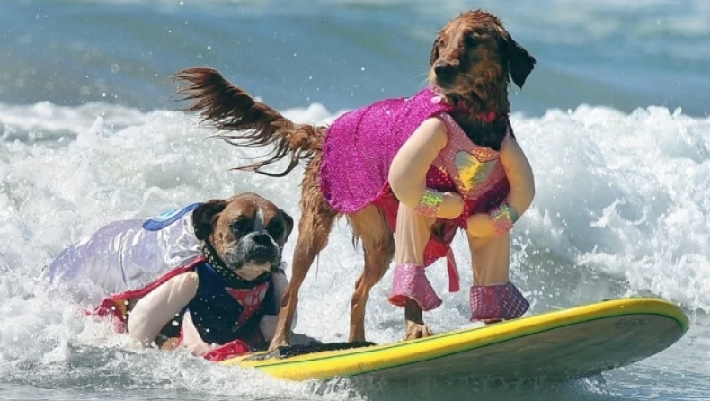 ΗΠΑ: Viral το παγκόσμιο πρωτάθλημα surf.. για σκύλους (vid)