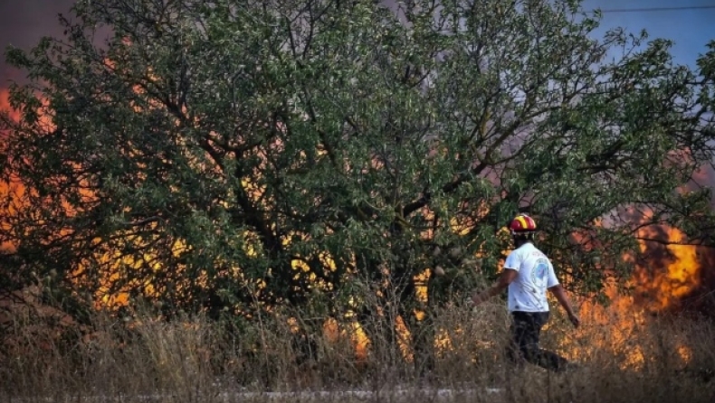 Ηράκλειο: 70χρονος συνελήφθη μετά από βίντεο που τον απεικονίζει να βάζει φωτιά (vid)