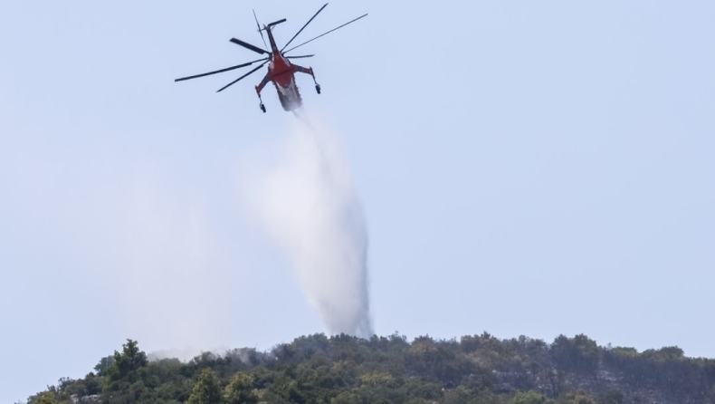 Συναγερμός στην Πυροσβεστική για φωτιές σε Εύβοια και Έδεσσα 