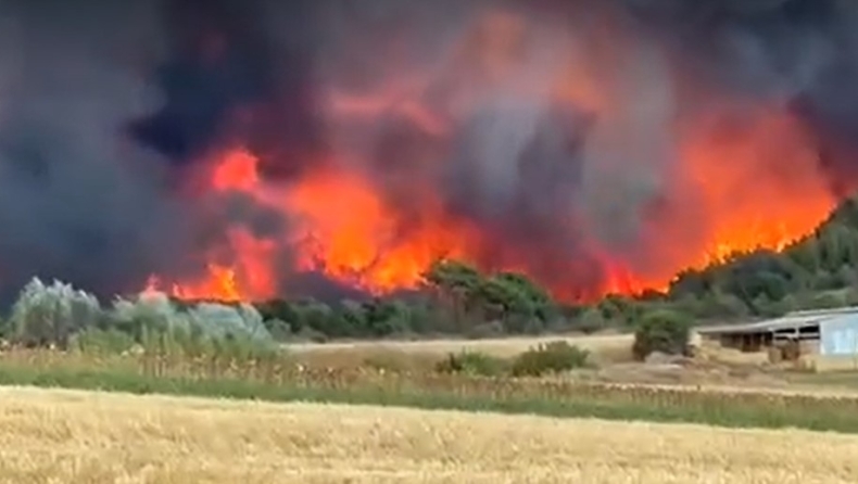 Τρία τα μεγάλα μέτωπα της φωτιάς στην Αλεξανδρούπολη: Με μήνυμα του 112 εκκενώθηκαν οι οικισμοί Μοναστηράκι και Δορίσκος