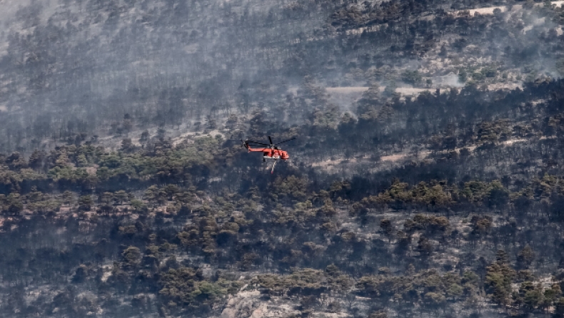 Αδιανόητη καταστροφή: Περισσότερα από 1.200.000 στρέμματα έχουν καεί έως τις 23/8