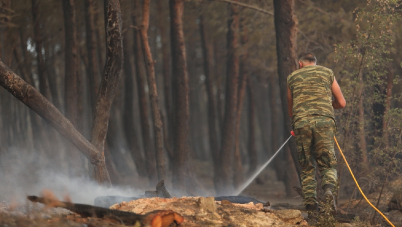 Φωτιά στον Έβρο: Βρέθηκε κι άλλη απανθρακωμένη σορός (vid)