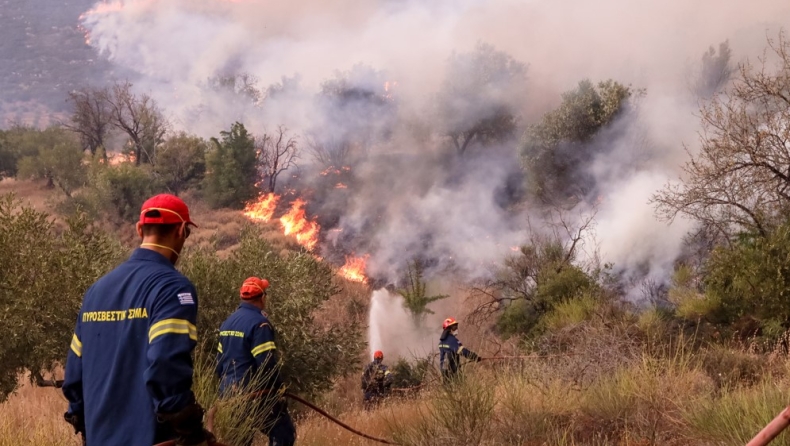 Δύο συλλήψεις για εμπρησμό από πρόθεση σε Λάρισα και Κάρυστο