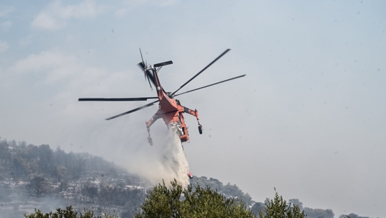 Φωτιά στην Πάρνηθα: Στα όρια του Εθνικού Δρυμού οι φλόγες (vid)