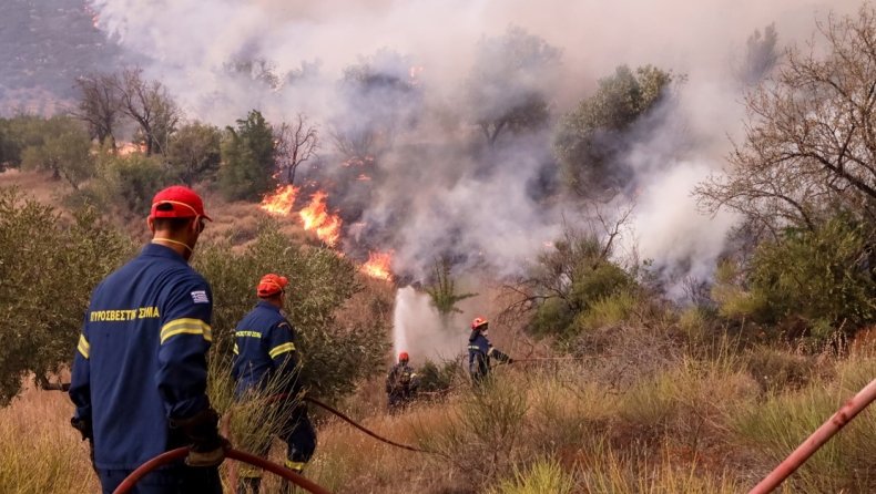 Ενεργά τα δύο πύρινα μέτωπα σε Λεπτοκαρυά και Κοτρωνιά στον Έβρο: Μήνυμα του 112 για εκκένωση της περιοχής Σιδηρώ	