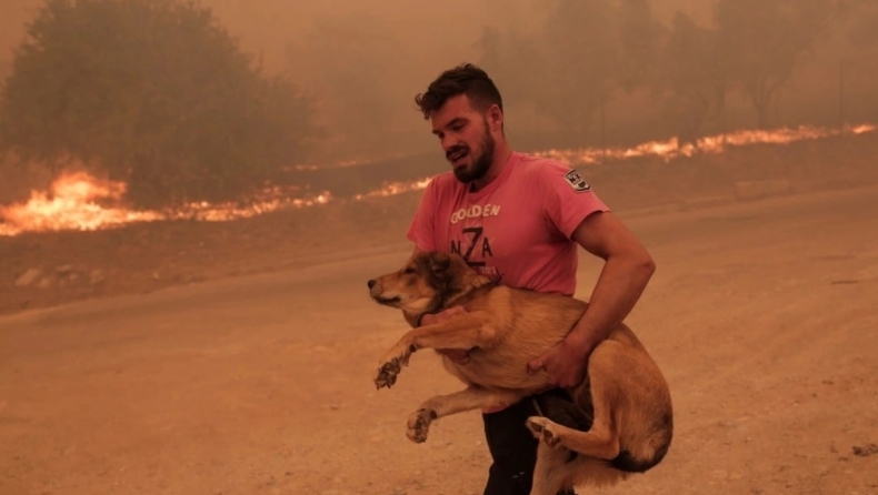 «Όχι άλλους ήρωες! Ανθρώπους ζωντανούς θέλουμε!»: Κραυγή απόγνωσης για τον άνθρωπο που έσωζε ζώα