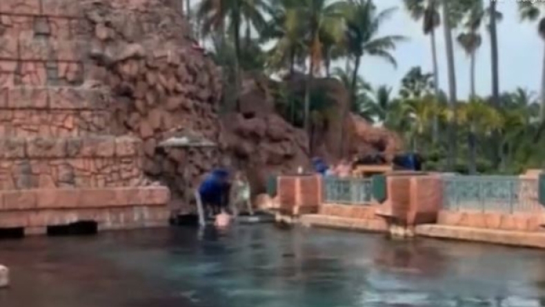 Βίντεο που «κόβει» την ανάσα: Η στιγμή που 10χρονος δέχεται επίθεση από καρχαρία
