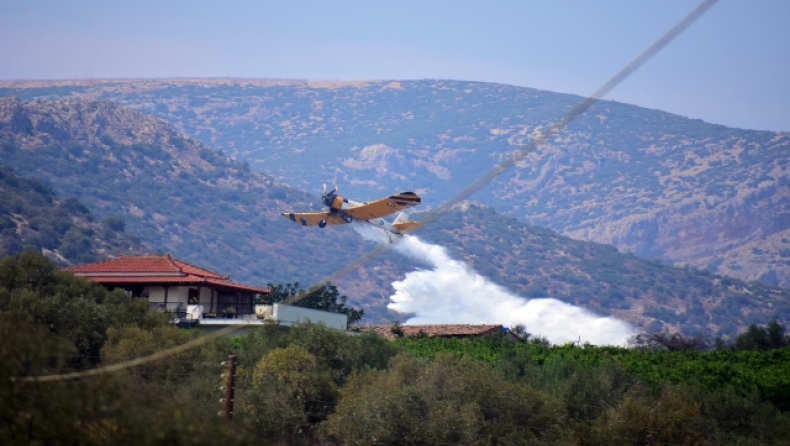 Φωτιά σε δασική έκταση στην Προσύμνη Αργολίδας: Σηκώθηκαν και εναέρια μέσα