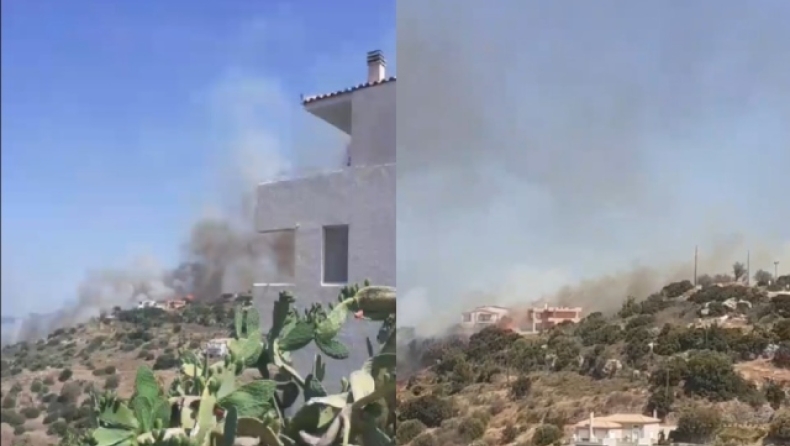 Κάηκαν σπίτια στο Κρανίδι: Μήνυμα εκκένωσης προς Πόρτο Χέλι και Ερμιόνη (vid)