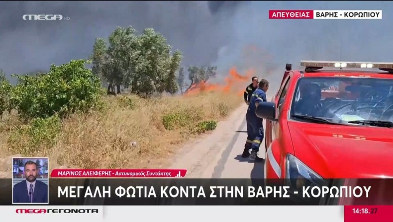 Μεγάλη φωτιά στη Βάρης-Κορωπίου κοντά σε σπίτια: Μήνυμα από το 112 για εκκένωση σε Λαμπρικά και Κίτσι (vid)