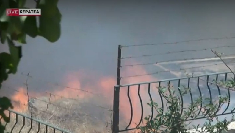 Μεγάλη η φωτιά στην Κερατέα: «Έχουν καεί σπίτια», πού έχει διακοπεί η κυκλοφορία (vid)