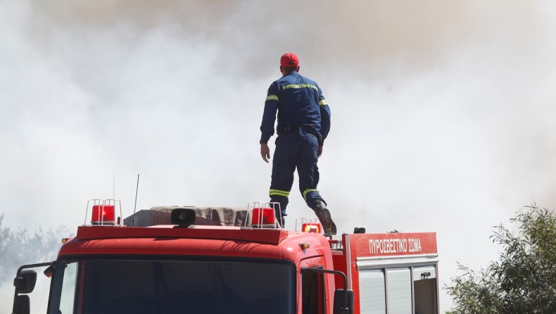 Φωτιά στην Αργολίδα: Καίγεται δάσος απέναντι από οικισμό στις Κοκκινάδες