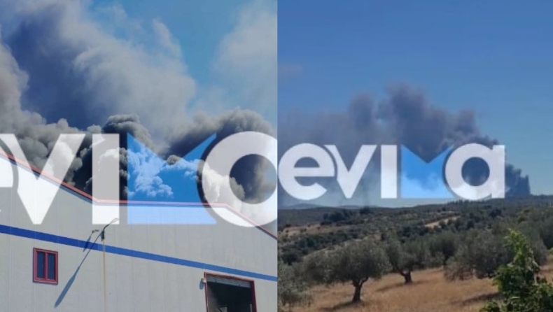 Φωτιά τώρα στην Ριτσώνα και συναγερμός στην Πυροσβεστική: Καίγεται εργοστάσιο με χημικά