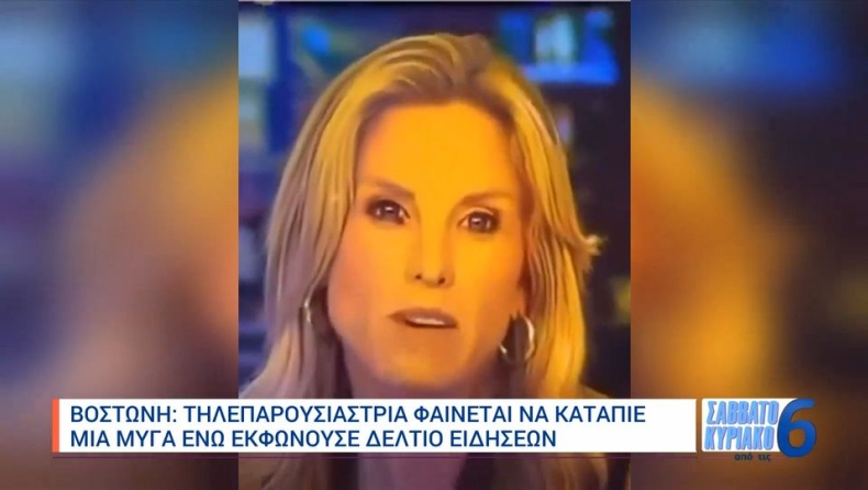 Παρουσιάστρια κατάπιε μύγα την ώρα που έλεγε τις ειδήσεις (vid)