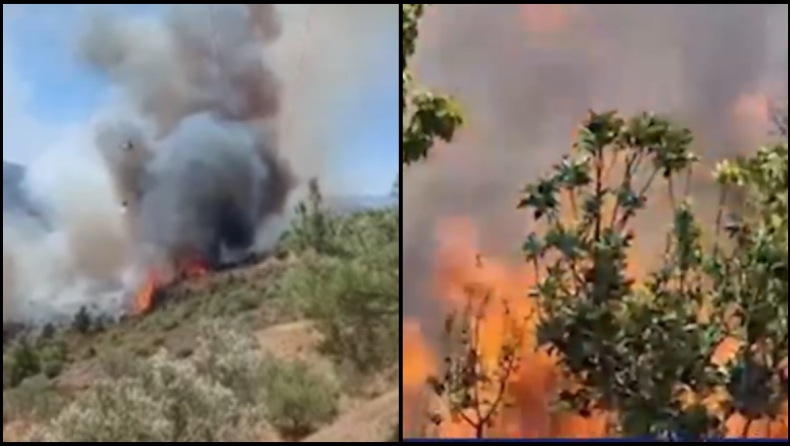 Μάχη με τις φλόγες σε Κω και Χίο που καίνε σε διάσπαρτα σημεία (vid)