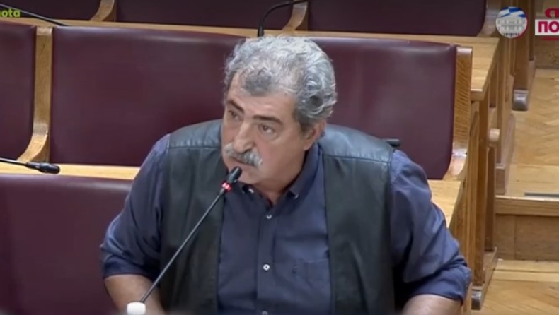 Πολάκης: «Θα το έκανα ξανά, ποινή έπρεπε να βάλει στους συνεργάτες των υπουργών που κορόιδευαν» (vid)