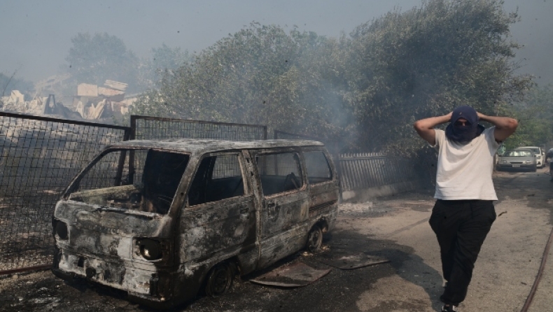 «Μην έχετε δεμένα τα ζώα»: Τι λέει η πρόεδρος της φιλοζωικής Παλλήνης (vid) 