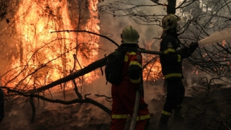 Φωτιά τώρα στο δάσος της Δαδιάς στον Έβρο: Σπεύδει η Πυροσβεστική