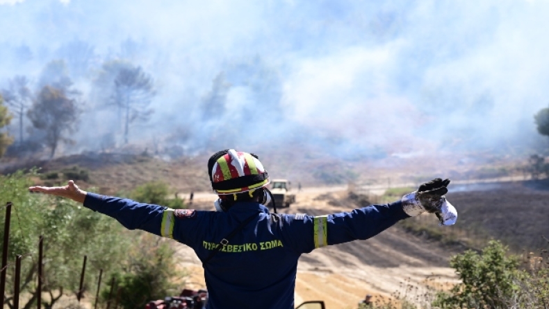 Έσβησε μετά από 29 μέρες η φωτιά στις Σέρρες: Χρειάστηκε η συνδρομή της... βροχής