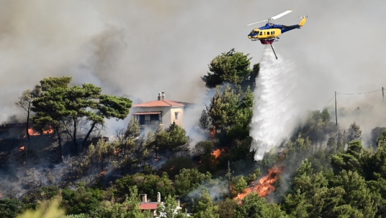 Μεγάλη φωτιά στον Βαρνάβα: Έως και πενήντα μέτρα οι φλόγες (vid)