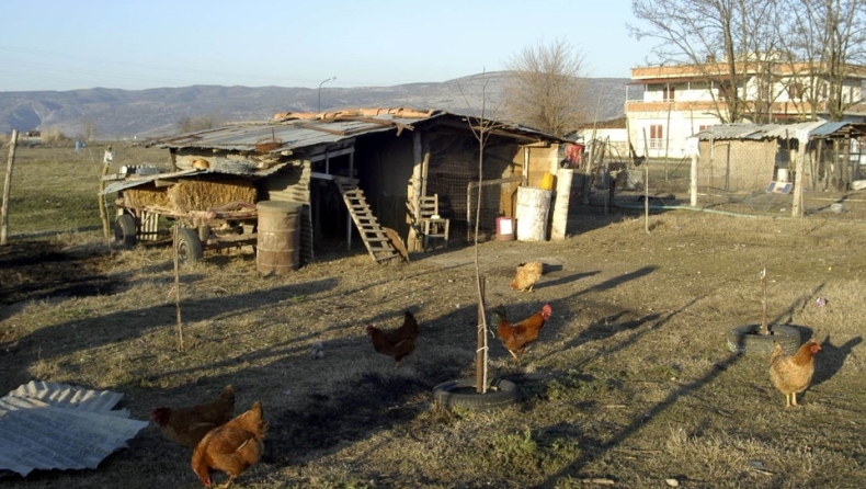 Βόλος: Ζει σε κοτέτσι για να μην έχει επαφή με την γυναίκα και την κόρη του, «Θα σας θάψω» φέρεται να τους είπε