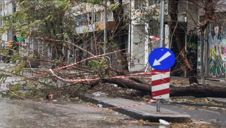 Συγκλονιστικό στιγμιότυπο από το «χτύπημα» της κακοκαιρίας «Bora» στην Θεσσαλονίκη: Η στιγμή που δέντρο πέφτει πάνω σε αυτοκίνητα έξω από το γήπεδο της Τούμπας (vid)