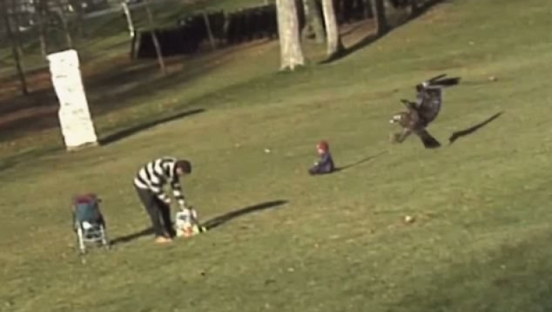 Μοντάζ το βίντεο με τον αετό που αρπάζει το παιδί (picks & vid)