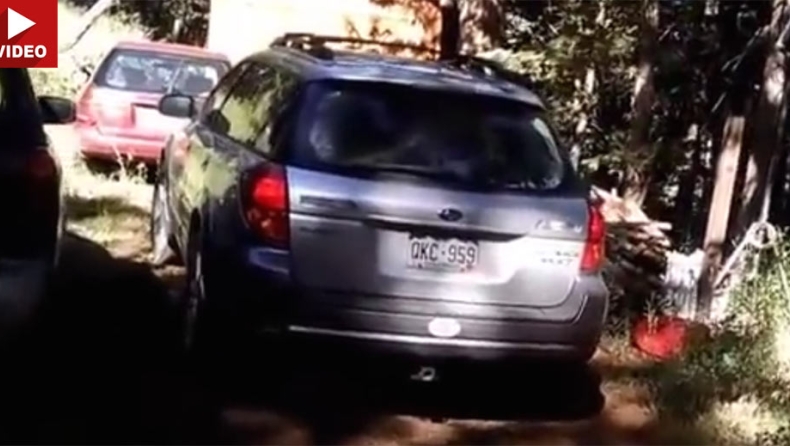 Αρκούδα κλειδώθηκε σε Subaru! (vid)