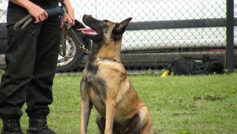 Σκύλος της Αστυνομίας στην Καρδίτσα μύρισε ηρωίνη, χασίς και ναρκωτικά χάπια