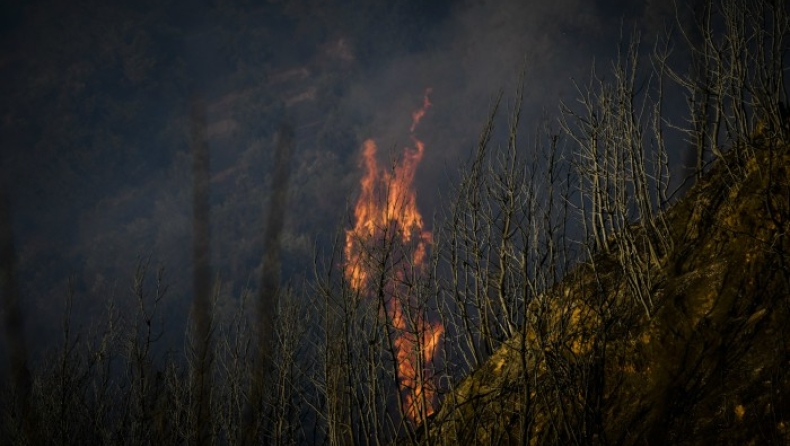 Μαίνεται το μέτωπο στην Ηλεία, υπό μερικό έλεγχο η πυρκαγιά στα Λεγρενά