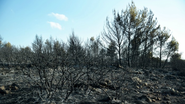 ΝΔ: «Που ήταν διακοπές ο Τσίπρας όταν φλεγόταν η χώρα»