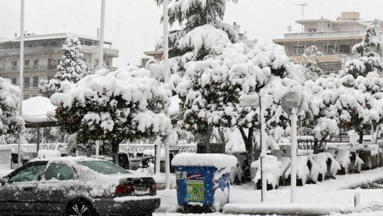 LIVE ό,τι συμβαίνει με τη «Μήδεια»