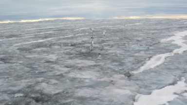 Τεράστιοι ιοί ανακαλύφθηκαν στο κόκκινο χιόνι της Γροιλανδίας: Ο ρόλος που μπορούν να παίξουν στην καταπολέμηση της κλιματικής αλλαγής 